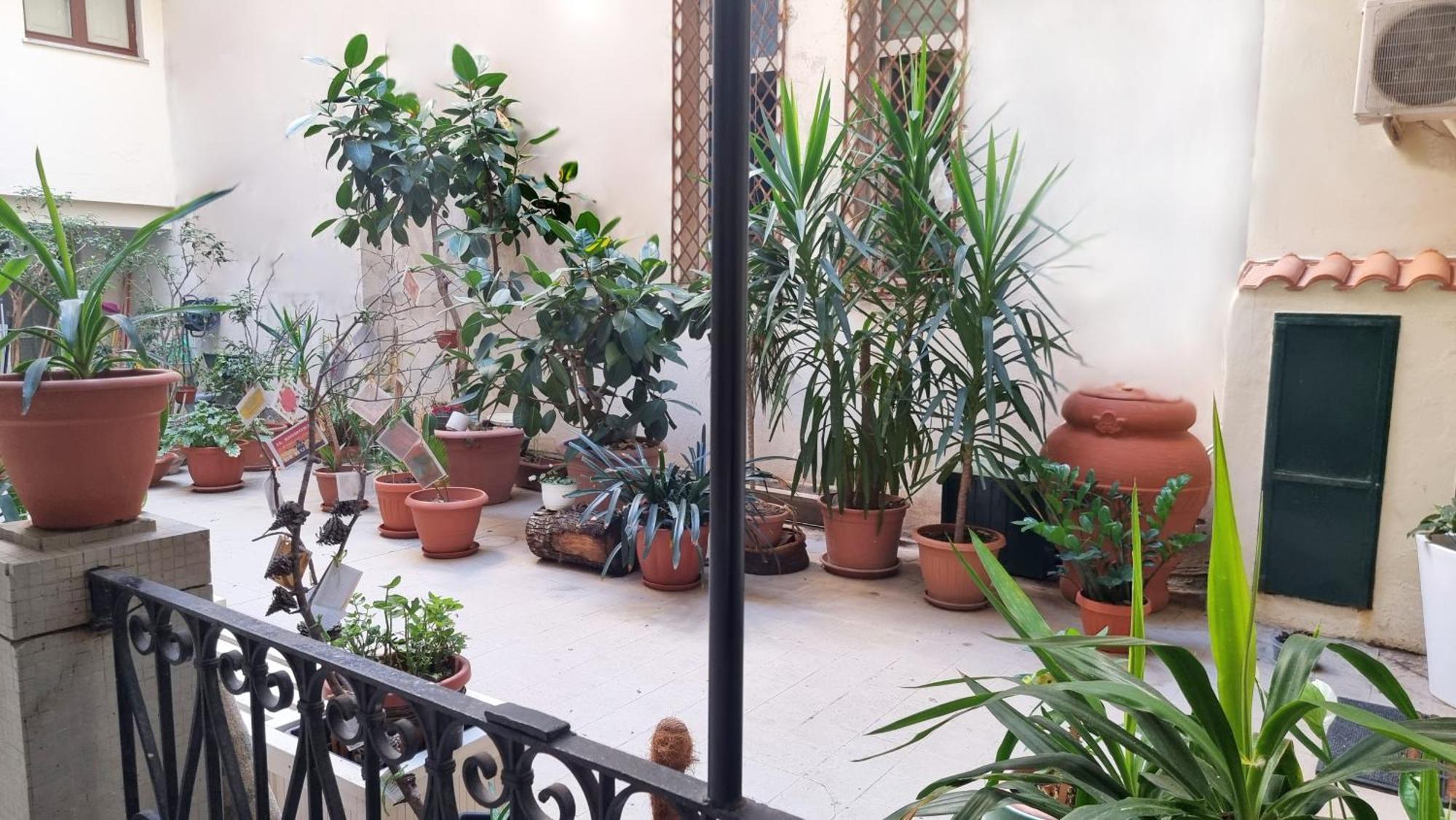 Loft Magna Grecia Reggio Calabria Centro Storico A 3 Minuti A Piedi Dal Mare Apartment Bagian luar foto